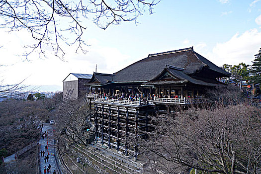 迷香水批发价格162-162863